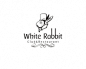 White Rabbit #采集大赛#