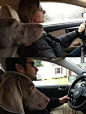 下面狗狗的表情体现了女司机开车的技术