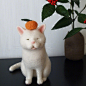 日本手工爱好者nekolabo的一组手工羊毛毡猫咪。 ​​​​