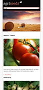 Website Template #44915