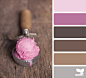 scooped palette