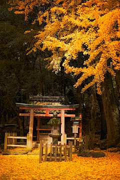 吹梅角远采集到场景 风景