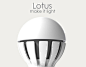 AURORA Light Bulb : AURORA LED Light bulb