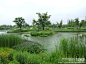 西溪湿地公园:怡人的湿地景色【画中杭州】, 夏风影旅游攻略
