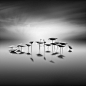 Vassilis Tangoulis