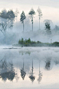 Morning at the lake by Leiph B: 