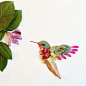 很有创意和美感，完全是用花瓣和树叶摆出来的唯美花鸟绘画作品，色彩艳丽，神态逼真 |  艺术家Bridget Collins的创作