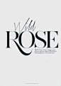 Wild Rose  Published in Typography inspiration | #1145: 