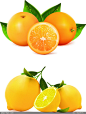 矢量橙子柠檬