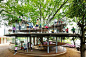 Tezuka Architects' Amazing Fuji Kindergarten Wraps Around a 100-Year-Old Zelkova Tree | Inhabitat - Sustainable Design Innovation, Eco Architecture, Green Building