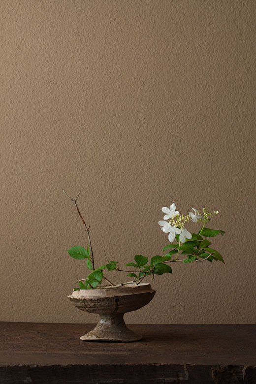 川瀨敏郎的质朴插花艺术