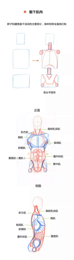 N七刀采集到教程