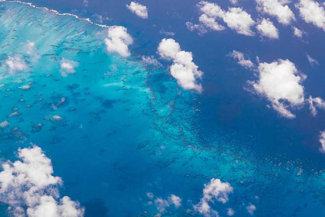 Anegada reef by Marc...