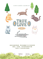 「 TRUE LOVE猫粮品牌」金质营养 承载全方位的呵护-古田路9号