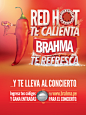 BRAHMA RED HOT CHILI PEPPERS on Behance