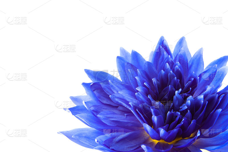 5472d14f6286871e30ffbf51c25337bf0ec851ee1b567-Y54Ut6