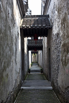 蘇舟采集到沿途风景