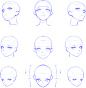 头像造型基础 第四章——头型五官转角处理表现图片_头部线稿练习图