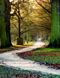 ~~The Farm Walk - autumn in the park by Gilly B2011~~