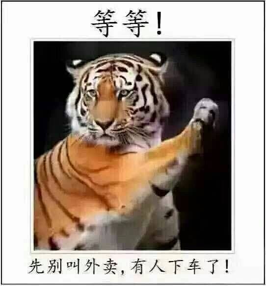 北京野生动物园一家人多次下车 警方：老虎...