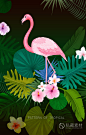 夏季热带雨林植物叶子花卉火烈鸟插画海报平面包装背景设计ps素材-淘宝网