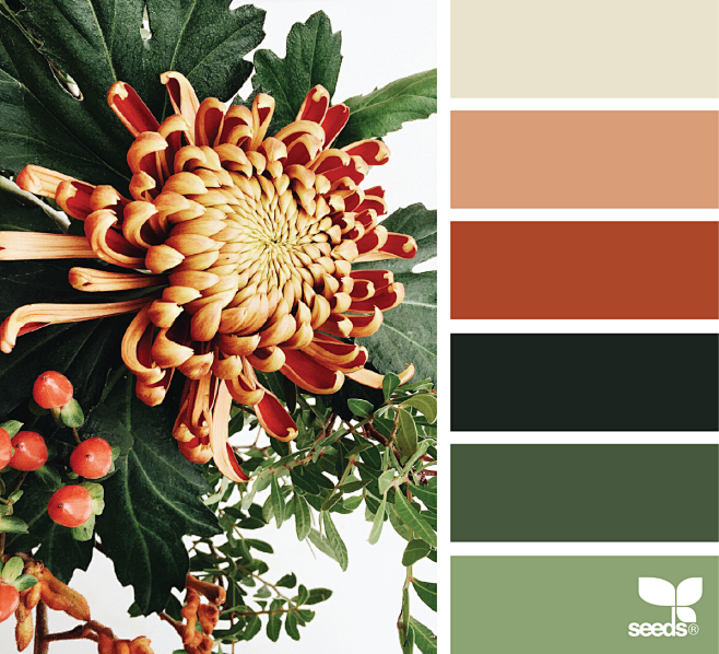 flora palette