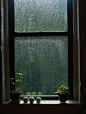 O、雨、窗、果、绿色