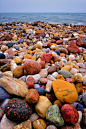 Lake Huron Beach, Ontario Canada | Polo Pixel