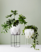 DESIGNER SPOTLIGHT | IVY MUSE BLOG : Ivy muse design beautiful, functional plant stands and botanical wares that encourage you to get creative with your greenery.