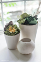 Paper_Succulent_Pots