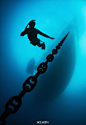 【全球水下摄影大赛 柠檬鲨出水照夺冠】全世界最大规模的水下摄影比赛——“全球水下摄影大赛”近日发布获奖结果。46岁的英国摄影师、潜水员特里 斯蒂利（Terry Steeley）凭借引人入胜的作品集获得本届大赛首奖。这些水下摄影照片里，你最喜欢哪张？O网页链接