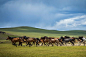 行走在内蒙古：呼伦贝尔大草原，体验游牧民族独特风情的草原牧场 : 而在现实中，这描绘的正是中国内蒙古东北部的人间天堂——的呼伦贝尔大草原。内蒙古自治区的呼伦贝尔市总面积26.3万平方公里，相当于山东省与江苏省两省之和，是全国面积最大的一个地级市，也是“世界上土地管辖面积最大的地区级城市”