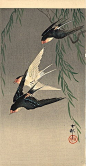 日本的PRINT区：燕子在飞行