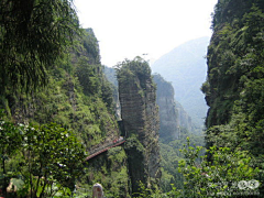 Henyuan123采集到雁荡山归来     叶子_旅