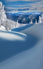 冬季仙境

山。西摩省立公园在北温哥华〜不列颠哥伦比亚省，加拿大