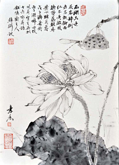 细菌的春天采集到国画花鸟