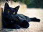 Black Beauty!!