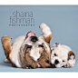Shaina Fishman 在 Instagram 上发布：“CASTING CALL for a new project Looking for pairs of dogs, one adult and one puppy to be photographed together. The pair of dogs do not need…” 

狗、汪星人、可爱、英斗、英国斗牛