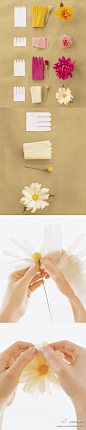 手工波斯菊，永不凋谢的花