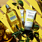 L'OCCITANE en Provence (@loccitane)的Instagram主页 · Tofo.me · 中文Instagram网页版