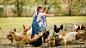 Children-Feeding-Chickens-Farm-Poultry