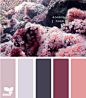 anemone hues