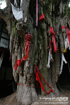 l88251753采集到青城山-青城旧忆新痕, 