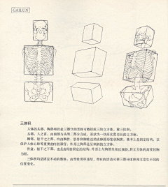 steel-L采集到画-教程-身体结构与比例