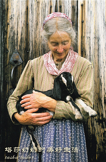 塔莎奶奶和她的动物伙伴们
