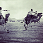 zamaaanawal:

Camel racing at Aden, Yemen, 1959.
