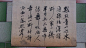 张熊(1803—1886)，又名张熊祥，字寿甫，亦作寿父，号子祥，晚号祥翁，别号鸳湖外史，鸳湖老人，鸳湖老者，鸳鸯湖外史，西厢客。别署清河伯子，髯参军。室名银藤 
花馆。秀水（今浙江嘉兴）人，张熊年青时代就移居上海，参加各种美术活动。 
　　他喜爱收藏金石书画，一生收藏了一万多件古董珍玩，名扬艺林，被称为“沪上寓公之冠”。张熊最擅长画花卉，纵逸似周之冕，古媚似王武。尤其善于画大幅的牡丹，屏山巨幛，以寻丈计者愈见力量。他画的花鸟、草虫、蔬果、人物、山水都很有功力，精篆刻，绘画注重写生，亦善八分书。花鸟画初亦