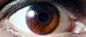 瞳 | The pupil