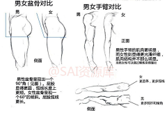 samanae采集到Reference