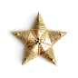 Christmas Star Ornament 11